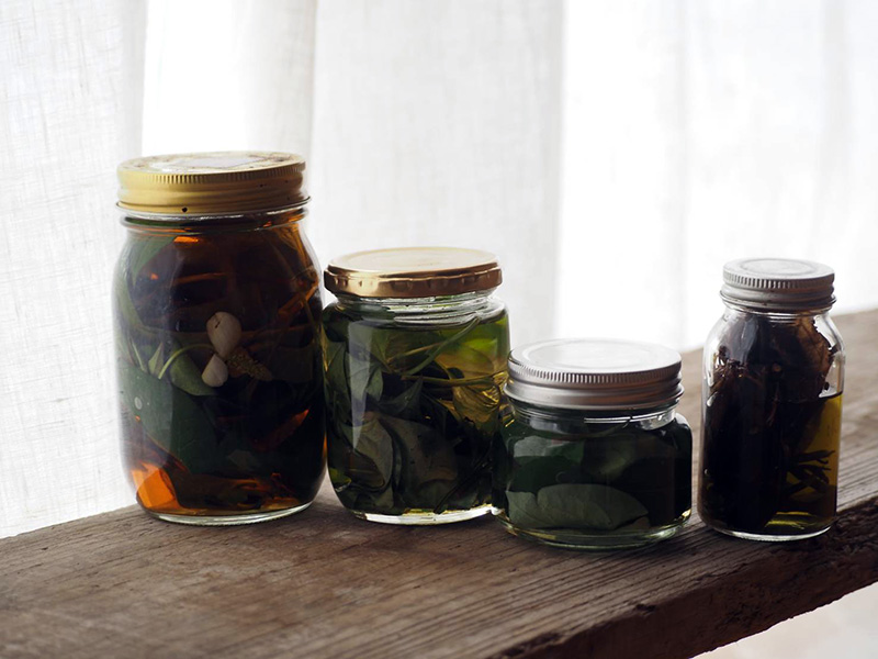 手づくりしたよ どくだみ酒を仕込みました！どくだみをたくさん収穫して、お酒とお茶、両方作ろう