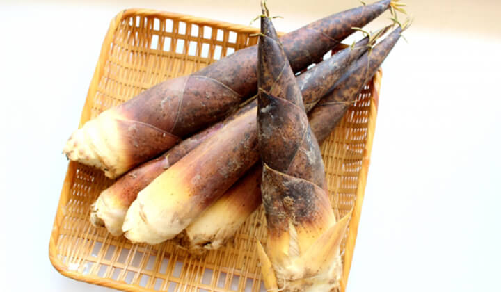 たけのこの冷凍方法保存期間や砂糖を使う理由まで徹底解説！ふるなび公式ブログ ふるさと納税DISCOVERY