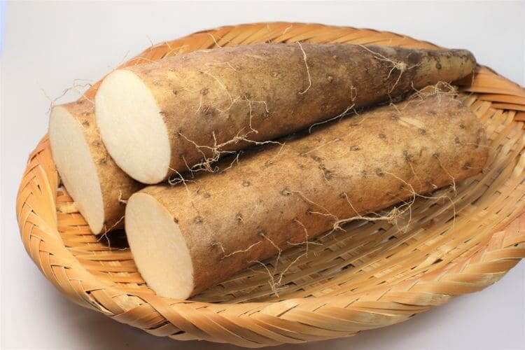 長芋・山芋の冷凍方法 とろろ・すりおろし・そのまま保存のコツほほえみごはん-冷凍で食を豊かに-ニチレイフーズ