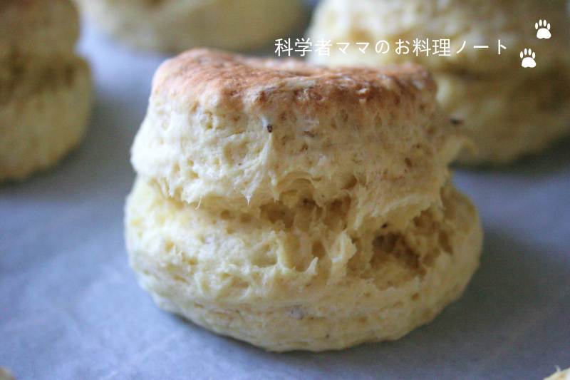 ホエーのカスタード風クリーム : kana-kitchen