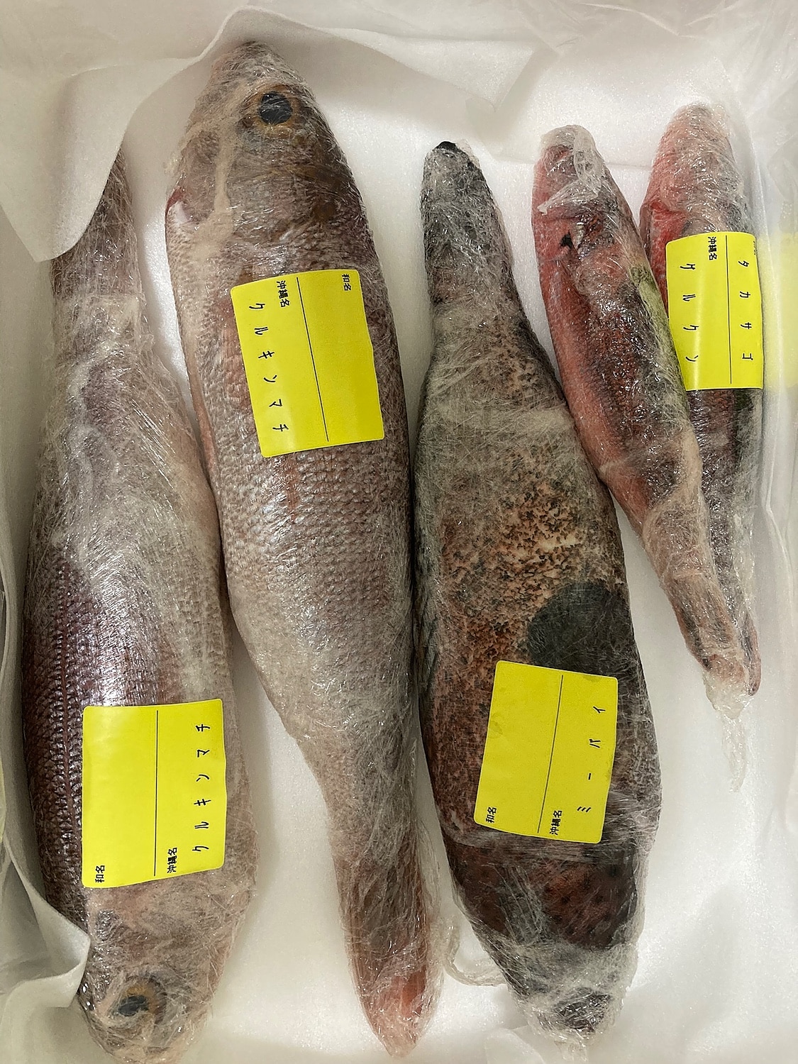 ヒメダイ 姫鯛オゴダイ クルキンマチ チビキの目利きと料理：旬の魚介百科