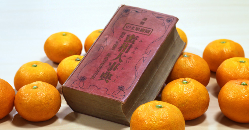 はなの里 濃辛マニア 50g 今井華さんサイン付き - メルカリ