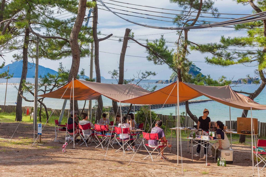 水晶浜海水浴場でのイルカとの出会い