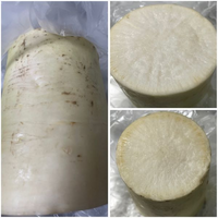 なんか変だ ラディッシュ 二十日大根 -品種不明