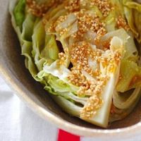 レタス ロメインレタス レッドロメインPR-1 ウエキ育成野菜・草花の種苗の通販は 太田種苗おおたねっと へ