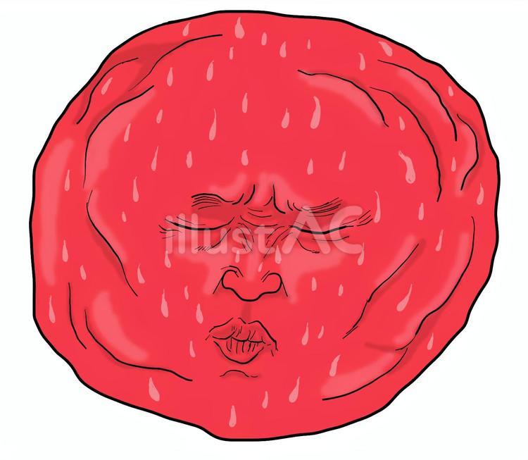 男梅顔天下一決定戦！ノーベル製菓株式会社