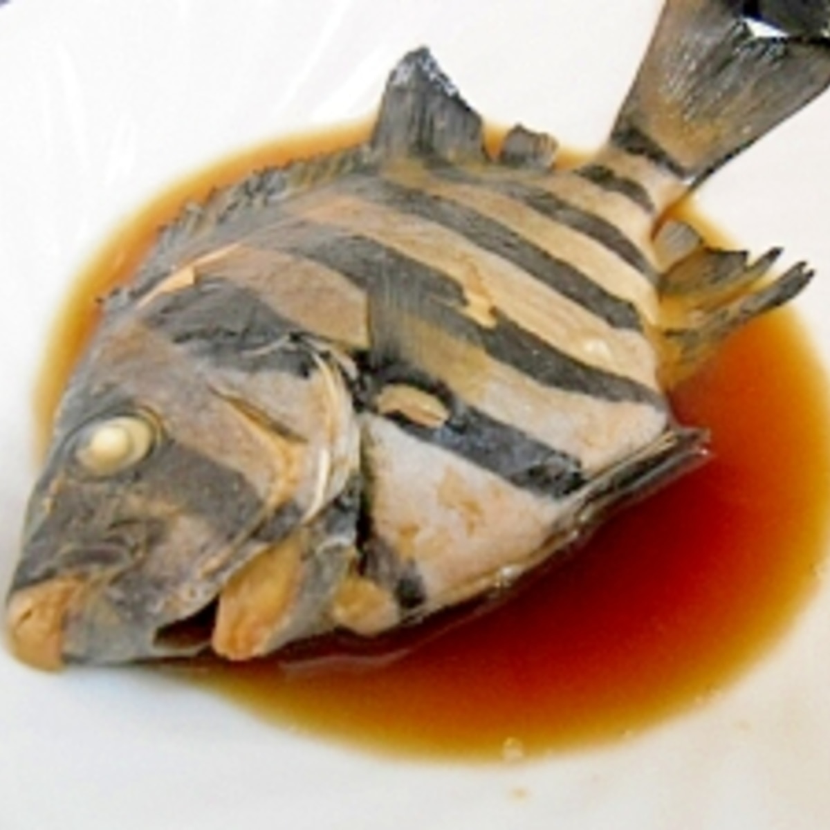 イシガキダイのおろし方 三枚おろし: 簡単！魚の美味しいさばき方