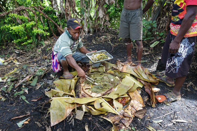 民族料理 Mumuと各国料理店南の国で燃え尽きることができるかも 村瀬 正則JICA海外協力隊の世界日記