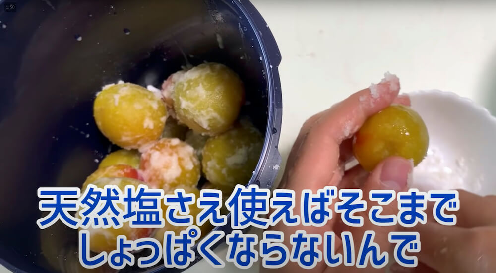 楽天市場 送料無料 お試し企画！ 無添加 完熟梅使用 しそ梅干し 約300ｇ×２パック塩分１７-２０％ 昔ながらの酸っぱい梅干し 福井県 木成り完熟梅使用無添加 お歳暮 : 福井くいしんぼ楽天市場店