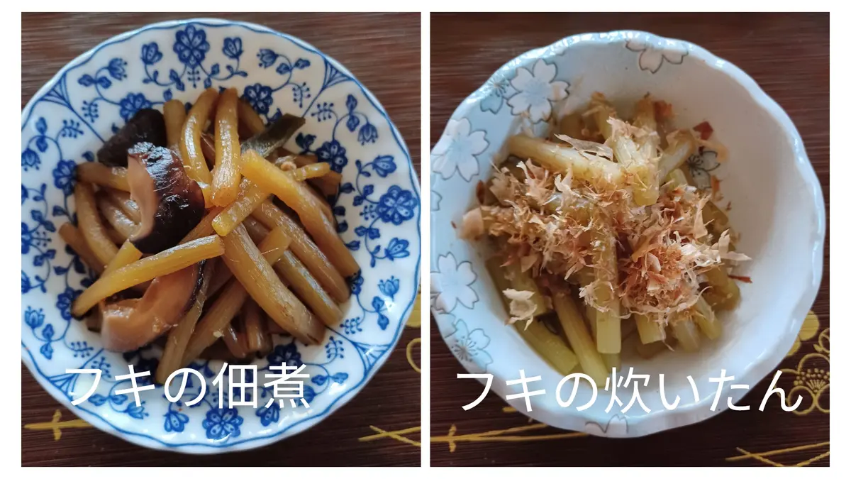 みょうが ミョウガ 茗荷