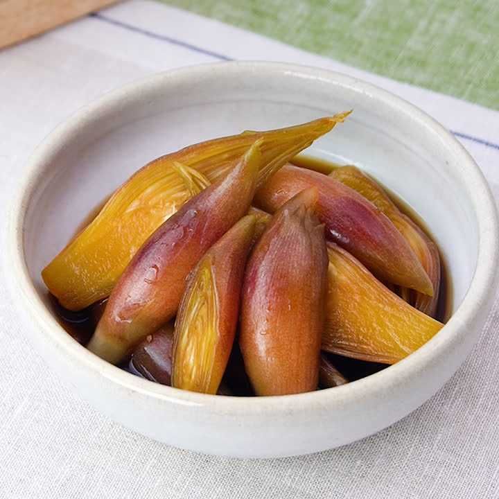 今回ご紹介するレシピは、ミョウガと大葉の肉巻き。 ごはんのおかずにも、ビールのおつまみにも。おろしポン酢につけてさっぱりでも、甘辛ダレでしっかり味付けし てもおいしいです🤘 ミョウガが好きすぎて最近毎日食べてる。冷蔵庫のストックがなくなると不安になってくる