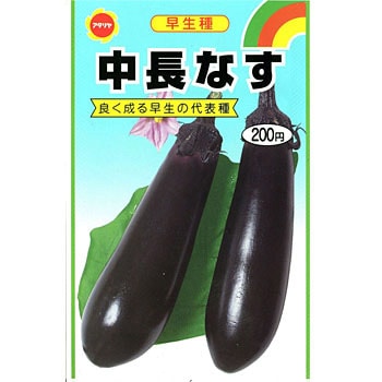 ナス野菜のタネ株式会社トーホク