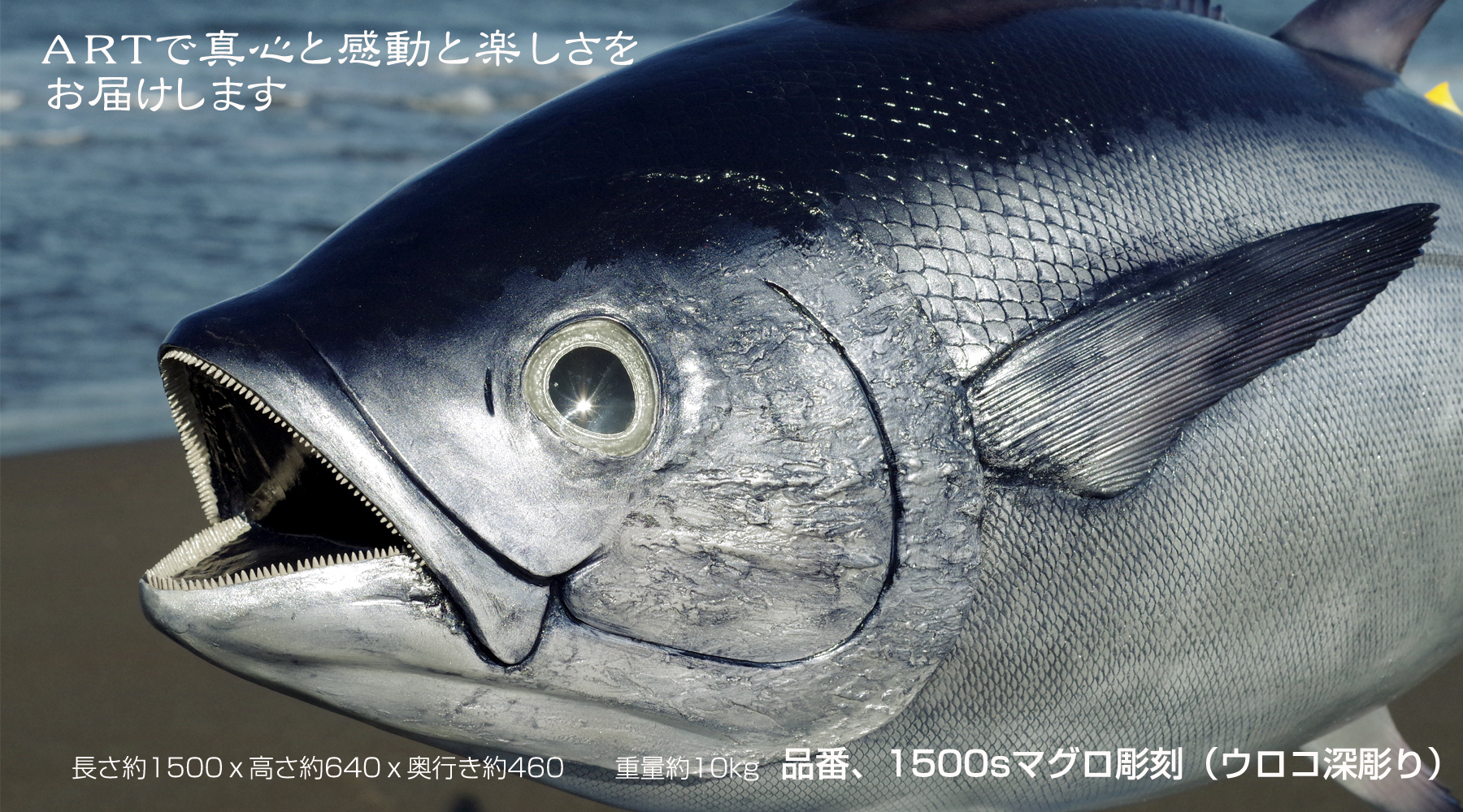 奇形？？顔が変形したキハダマグロ魚食普及推進センター 一般社団法人 大日本水産会