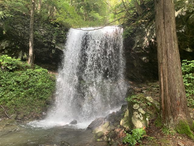 蒜山ランチのおすすめスポット 大地に育まれた高原グルメを満喫しよう♪ - まっぷるウェブ