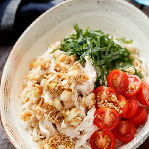 鶏肉となすのぶっかけそうめんセントラルフーズ