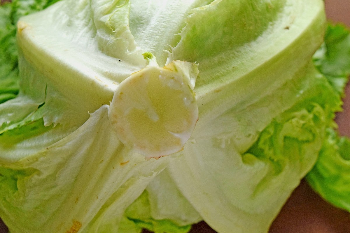 キャベツの内側に黒い斑点！これはカビ？食べれるの？キャベツらぼ