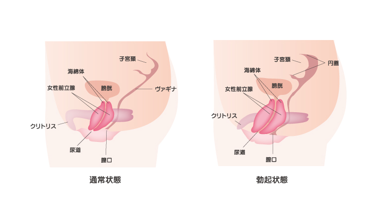 デカ乳首と勃起クリを気にしてオナニーしている清楚でマジメな処女JK…体を気にして彼氏とえっちできなかった巨乳JKだが秘密を告白し彼氏といちゃラブでクリイキや乳首イキし生ハメセックスで絶頂なる  |