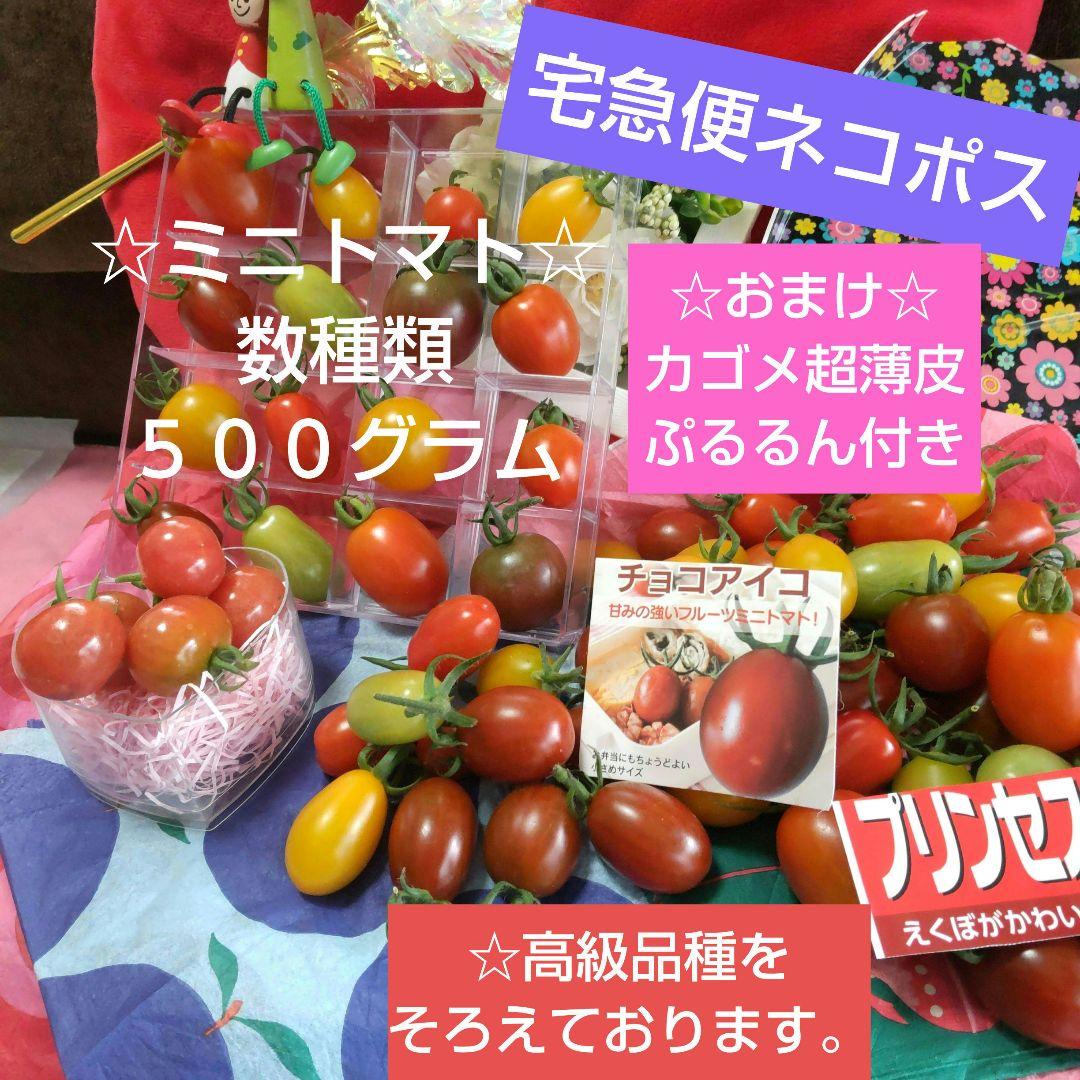 エンジェルスイートトマトコストコ通 コストコおすすめ商品の紹介ブログ