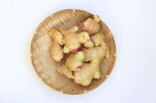 2025年最新 新生姜の出回り時期はいつ？高知・和歌山・北海道の旬と買いどき完全ガイドサザエの食卓ジャーナルサザエ食品株式会社