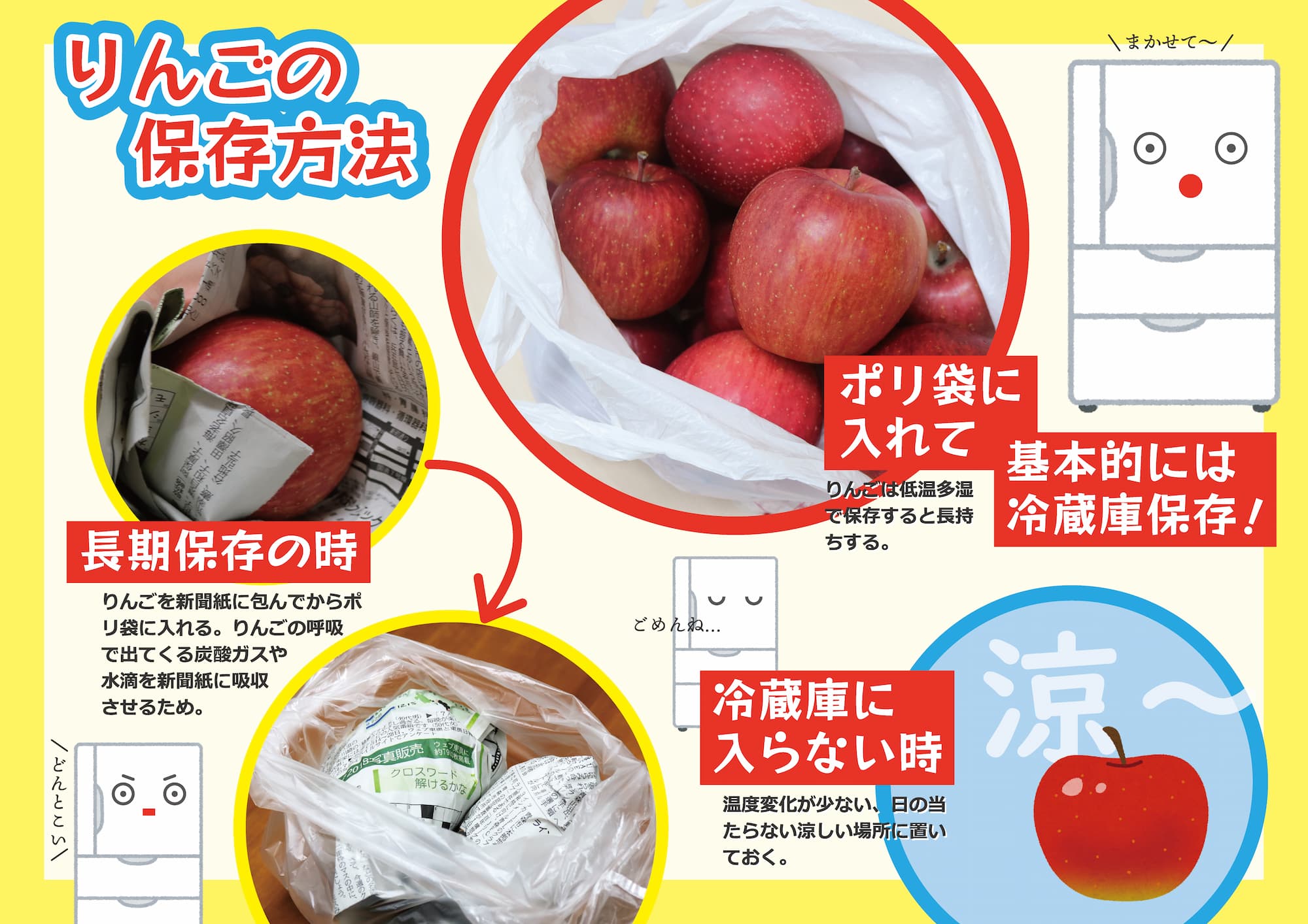 りんご 冷凍保存方法 コンポート味の農園