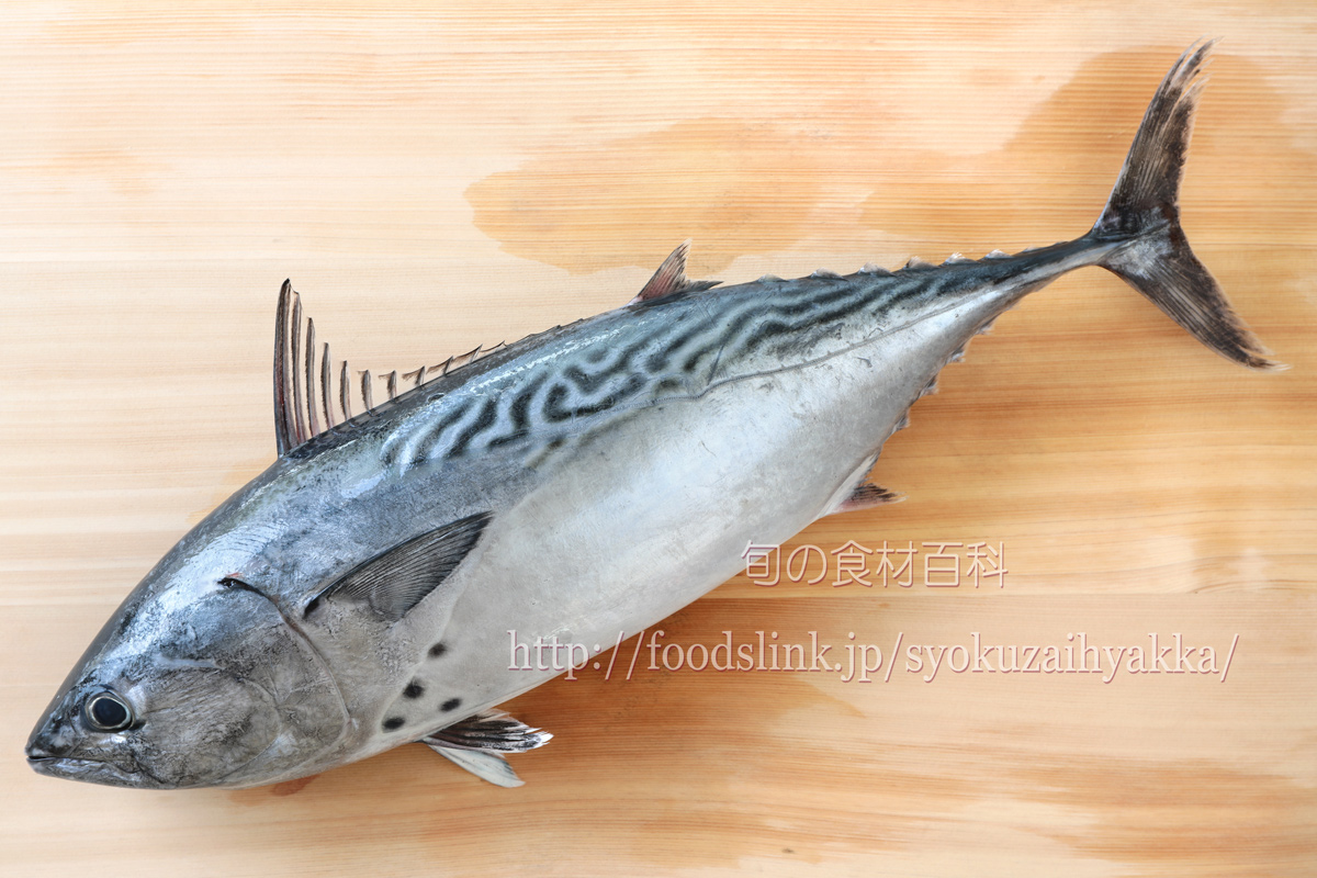 全身トロ! スマの捌き方 カツオも同じby ファットマン小川クックパッド簡単おいしいみんなのレシピが392万品