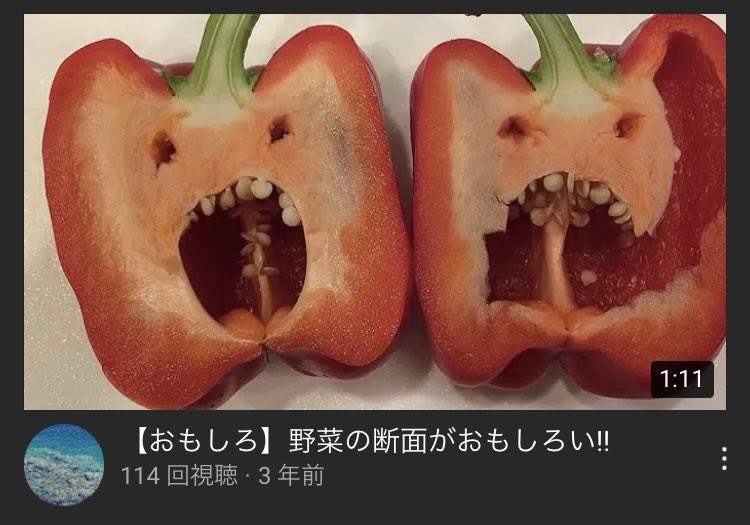 新鮮なアボカド - 果物や野菜の断面図の写真素材・画像素材 Image 8361312