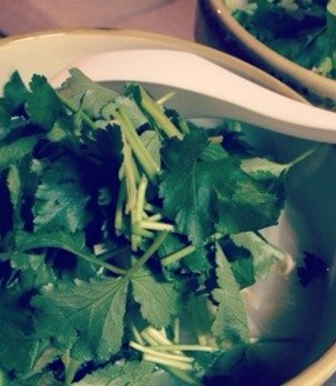 臭いの克服法も伝授！パクチーの味の例えが「カメムシ」？3ページ目- macaroni