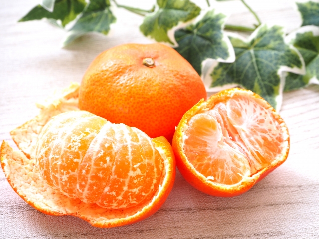 山北みかん -公式 JA高知県 県産品の通販も