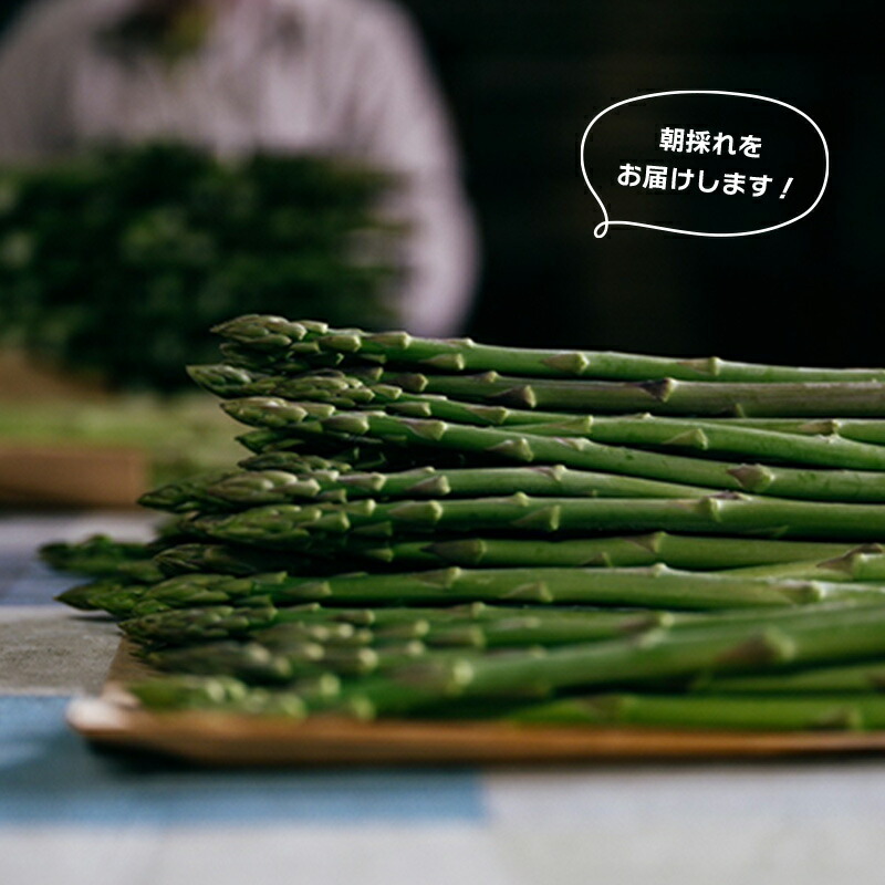 バーベキューに☆アスパラ肉巻き