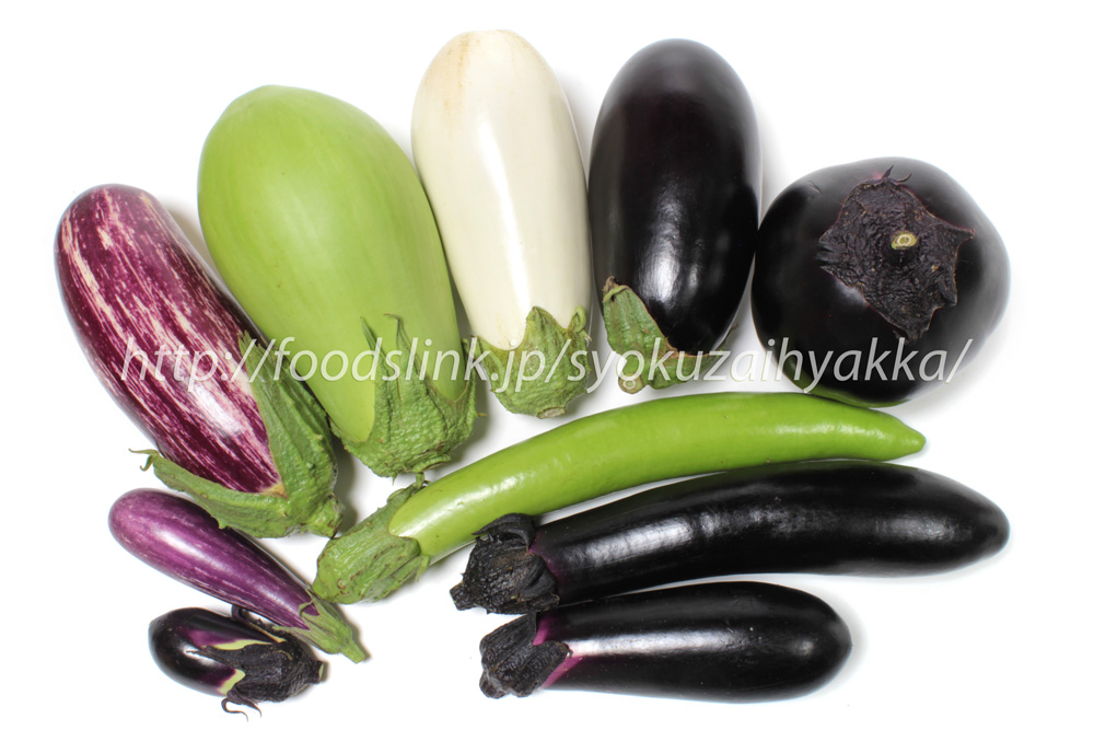 本気野菜ナス 野菜苗家庭菜園サントリーフラワーズ