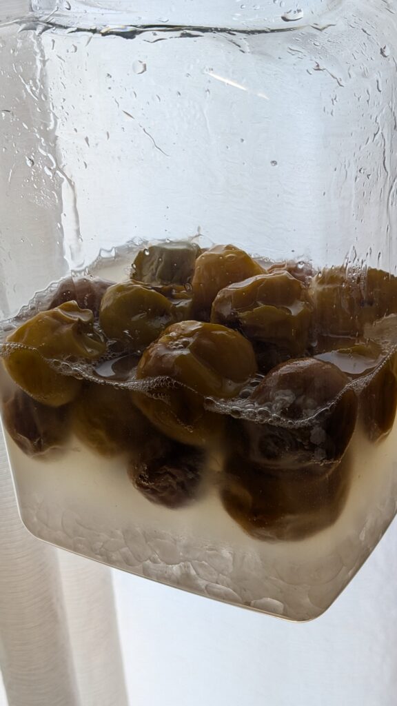 梅干しの白い粒はカビ?それとも塩?」老舗が教える判別方法に担当者も驚く5万いいねCHANTO WEB