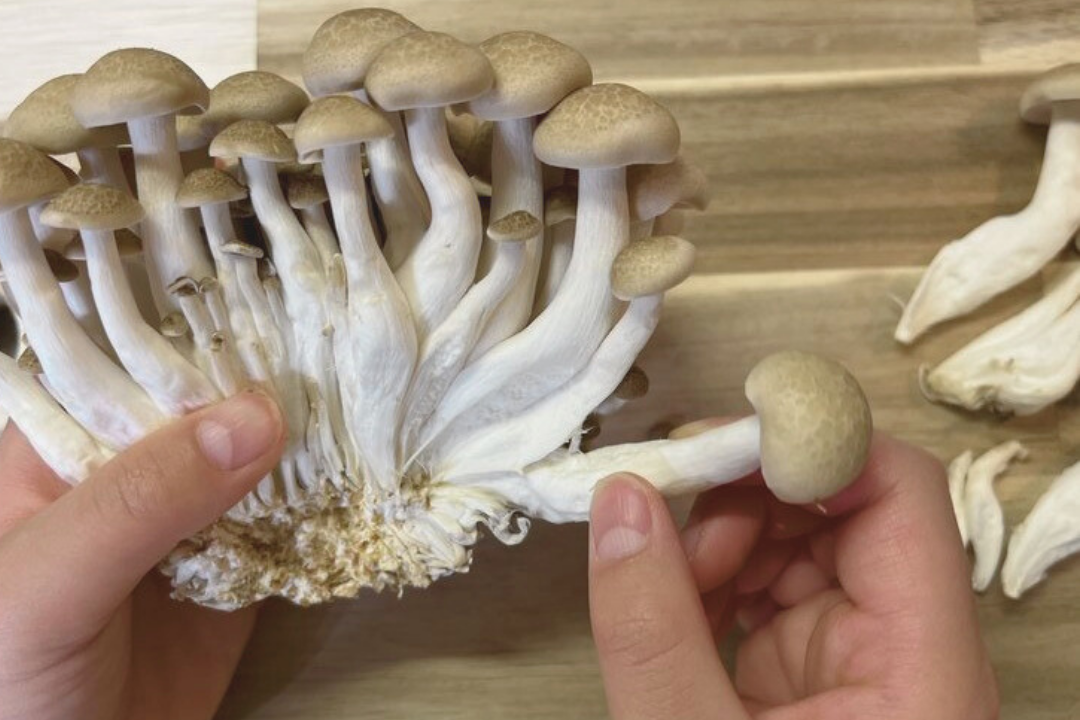 しめじは石づきが付いてる方がコスパが良い - さぶろーの今夜も眠れない