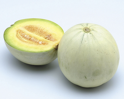 旬を食べよう～東海地方の伝統野菜～ まくわうり 岐阜県本巣市真桑地域フカボリトウカイ東海エリアの深掘りメディア