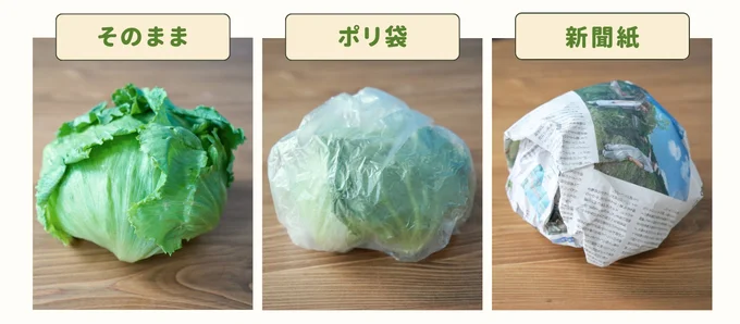 レタスの保存方法と選び方!長持ちさせる方法を紹介キッコーマンホームクッキング