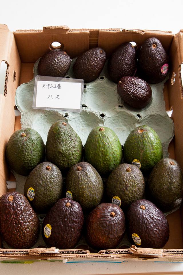 おいしいアボカドの選び方・見分け方 実際に食べた結果
