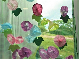 コーヒーフィルターで作るかわいい朝顔TikTok