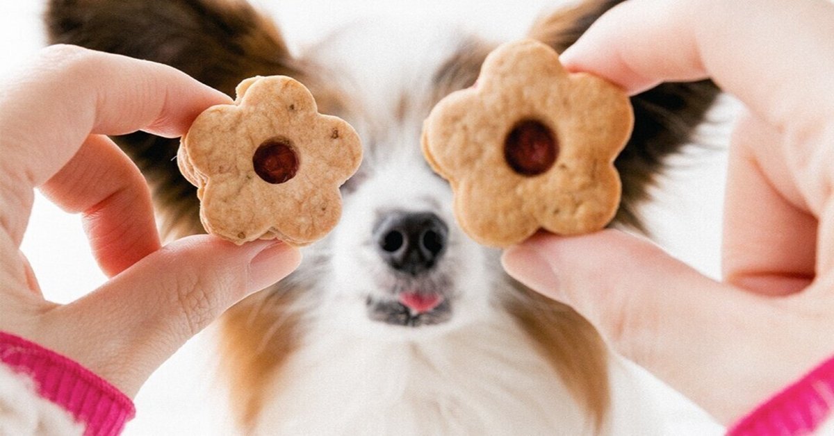 まもなく終了!!無条件で使える全品21%OFF☆17日09:59迄お徳用 いちごジャムサンドクッキー1kg 500g×2個 クッキーサンドクッキー イチゴジャム ジャム スィーツ 焼き菓子 お菓子 おやつ 駄菓子 大容量 楽天市場ポイント5倍!27日まで!お徳用 いちごジャム