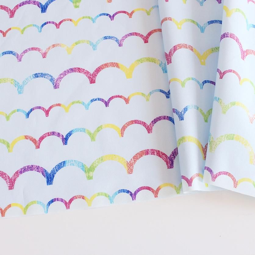 生地 レインボーオーガンジー 3060-50041.レインボー 10Bg10_