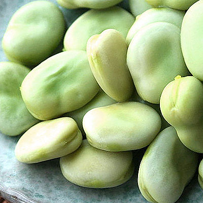 お多福豆と空豆は違う？黒い理由と美味しい煮方＆アレンジレシピもはなりっち