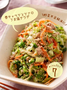 春キャベツ1 2個ペロリ！簡単やみつきカニカマキャベツサラダ : ぱおの簡単おうちごはん Powered by ライブドアブログ