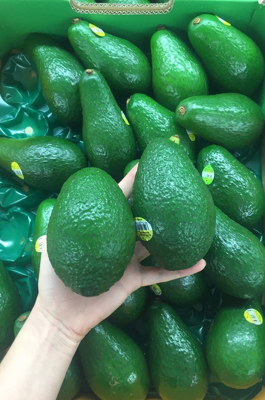 固いアボカドを、あっという間に熟れさせて柔らかくする裏ワザmamatas ママタス