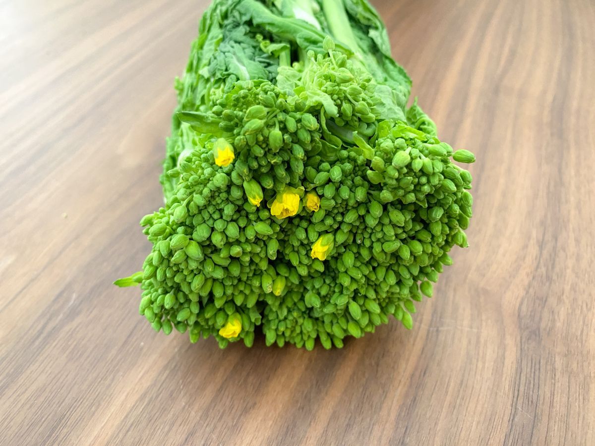 vol.50 菜の花をいただきま〜すFielder