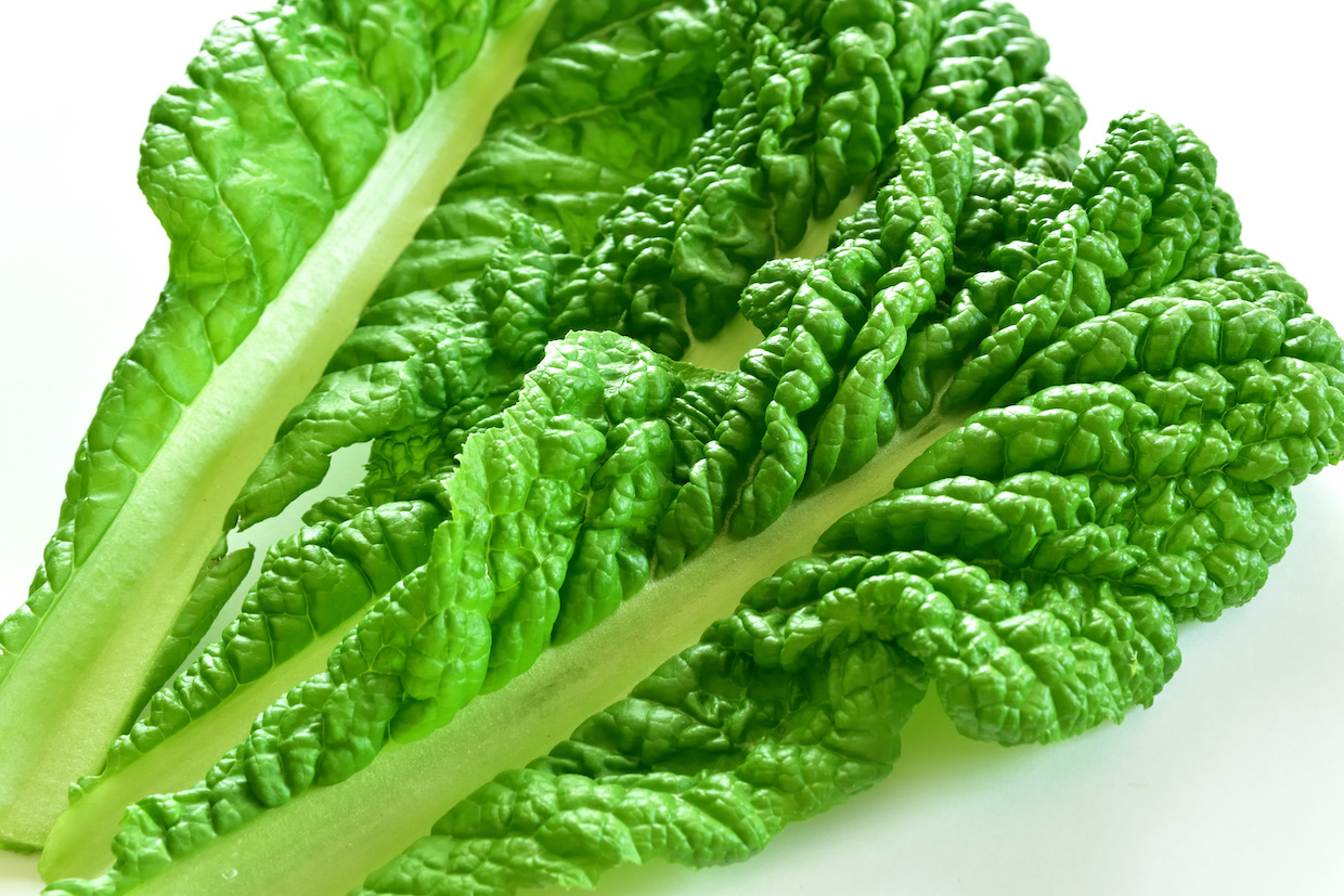 株式会社ウォーター・インスティーチュート - 菜っ葉は、大根やかぶ、ほうれん草、小松菜などの葉物野菜の総称で、ビタミンやミネラルが豊富で健康に良い食材として古くから親しまれています。この日は、野菜の摂取を促進し、健康的な食生活を意識するきっかけとすること