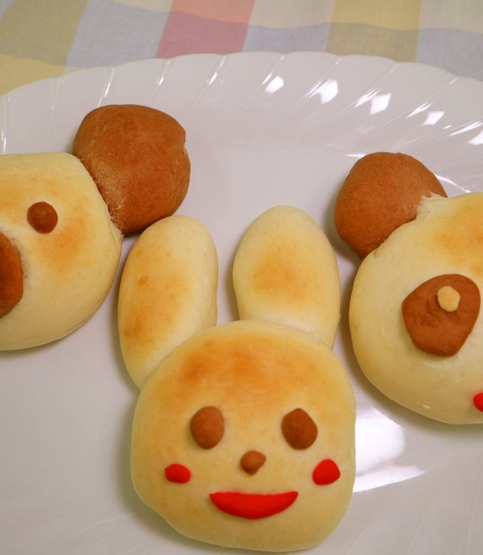 愛媛の可愛い動物パン屋さん