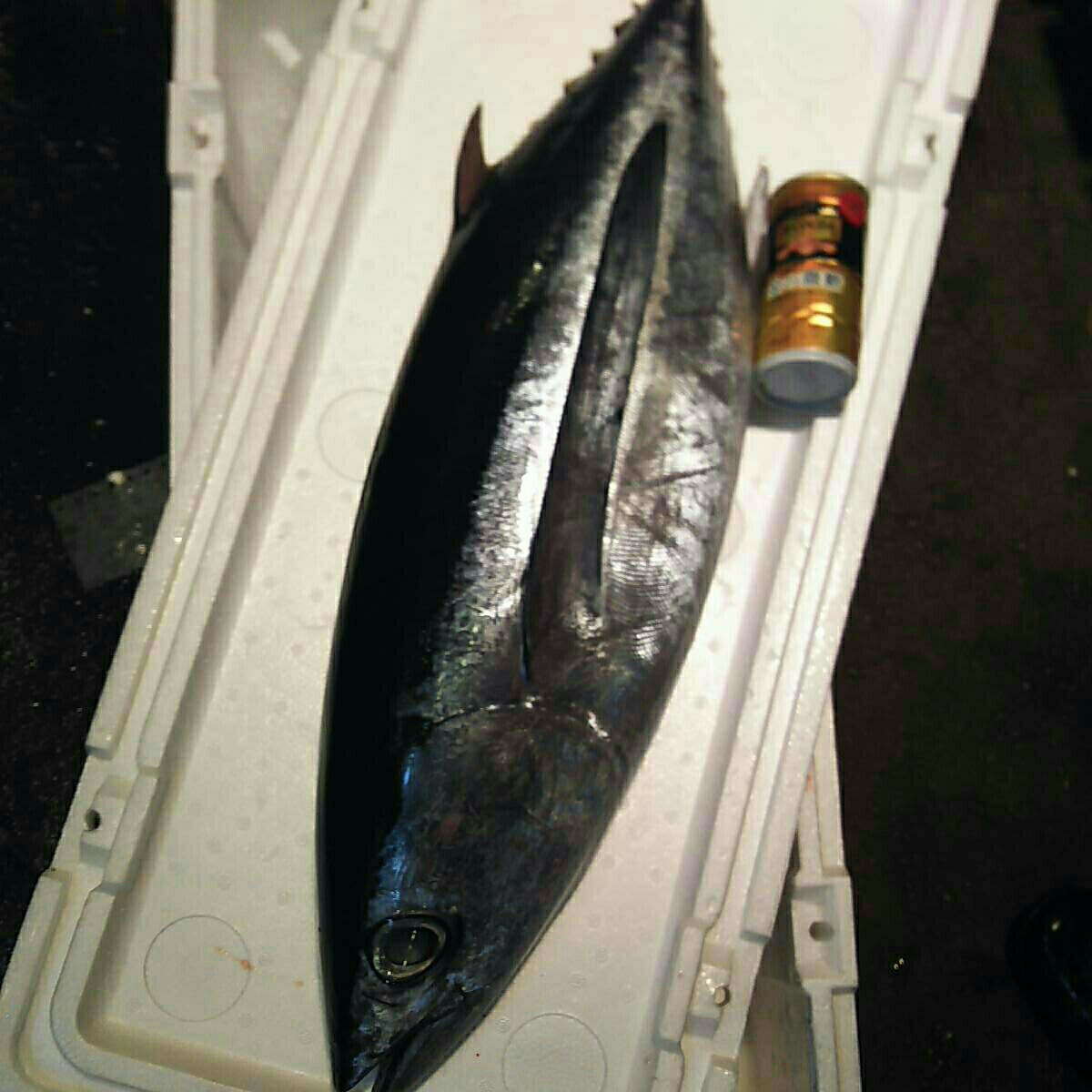 マグロの釣り方 ビンチョウマグロジギング決定版Page 6 of 7つりチャレ