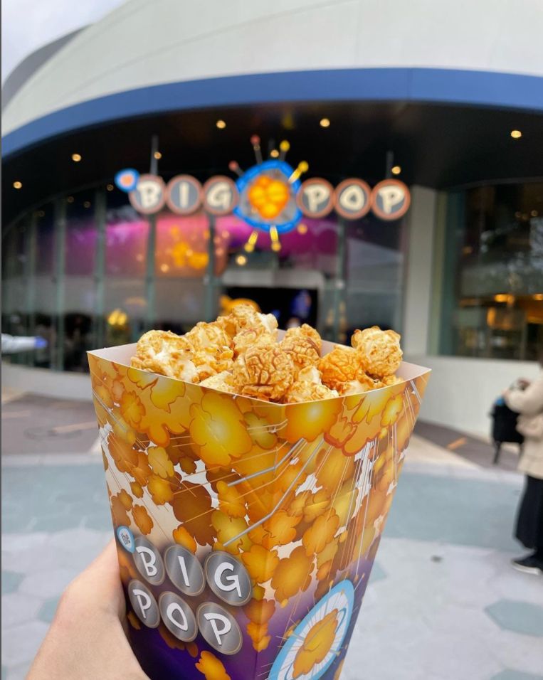 2025 ディズニーランドの食事おすすめ26選！食べ歩き・コスパ重視・高級・名物グルメ