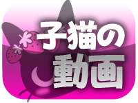 大阪の回春性感マッサージホテヘルおすすめ店を厳選紹介！｜風俗じゃぱん