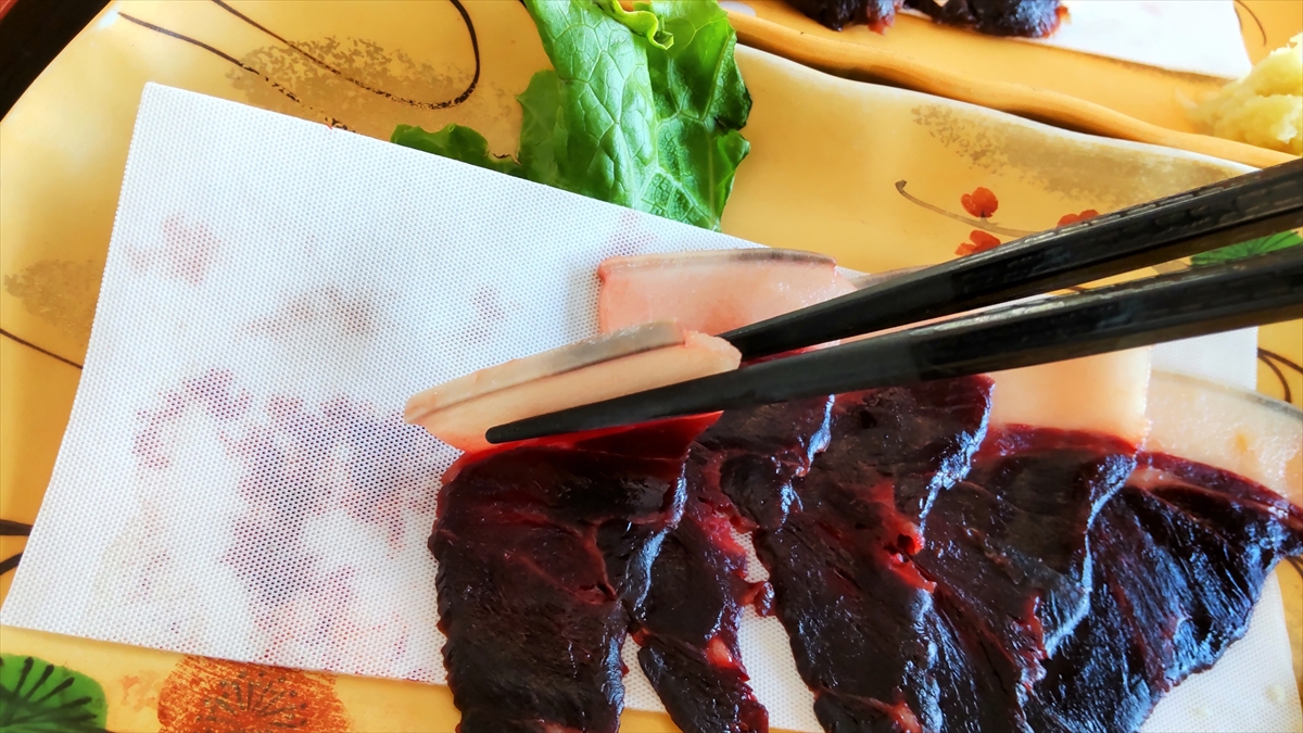 元動物園の飼育員が解説 イルカはどんな生き物？意外と知らないイルカの生態や特徴、知能やコミュニケーション能力について解説Petpedia