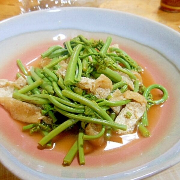 わらびとじゃがいも 油揚げのお味噌汁  春の山菜『わらび』 アク抜きも手間がかかるのに この時期しか食べられない美味しさ💚時間かけてアク抜きしたのに〜っ 食べるのはあっという間 🥢😅 お味噌汁でじゃがいもと油揚げと 一緒にオトナな春の味覚を堪能しました