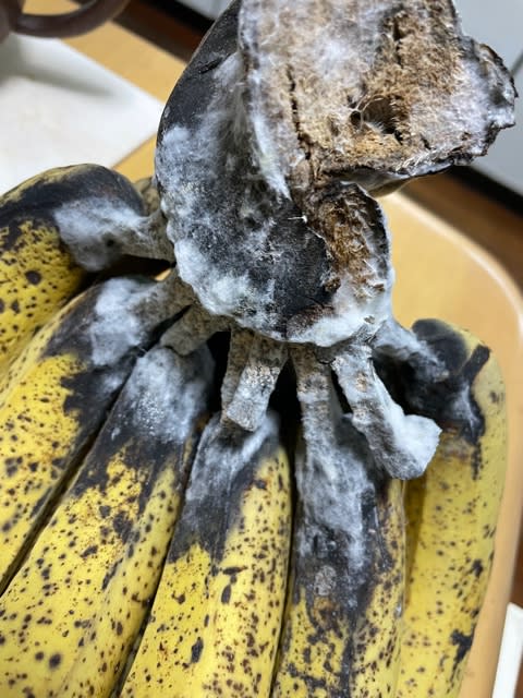 カビ？食べてもOK？バナナに黒い部分ができる意外なワケ - macaroni